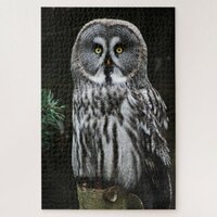 The Great Grey Owl 20x30 1014pc jpcn Jigsaw Puzzle