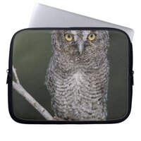 Eastern Screech-Owl, Megascops asio, Otus 2 Laptop Sleeve