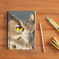 Horned Eagle Owl Photo Notebook