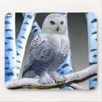 BLUE-EYED SNOW OWL MOUSE PAD