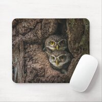 Forests | Two Owls Looking Mouse Pad