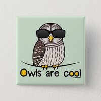 Owls are cool! pinback button