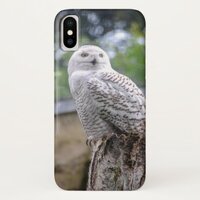 Snow owl iPhone x case