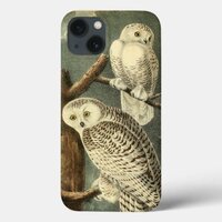 Snowy Owl Audubon Bird Artwork iPhone 13 Case