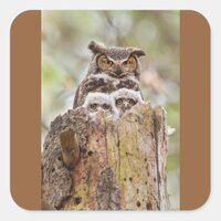 Owls Sticker