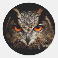 Owl with Yellow eyes Round Sticker