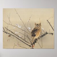Early Plum Blossoms by Nishimura Goun, Vintage Owl Poster