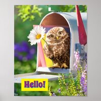 Owl With Flower In Mailbox Poster