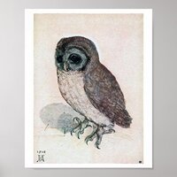 The Little Owl, Albrecht Durer Poster