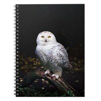 Majestic winter snowy owl notebook