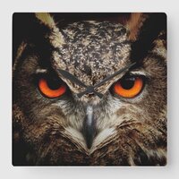 Owl with Orange Eyes in Color Acrylic Wall Clock