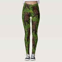 Owls in the oak tree, green and brown leggings
