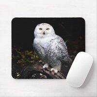 Majestic winter snowy owl mouse pad