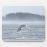 Snowy Owl Flying In Winter Mouse Pad