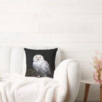 Majestic winter snowy owl throw pillow