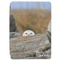 Snowy Owl iPad Air Cover