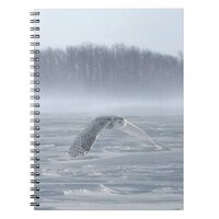 Snowy Owl Flying In Winter Notebook