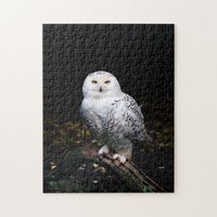 Majestic winter snowy owl jigsaw puzzle