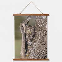 Eastern Screech Owl Hanging Tapestry