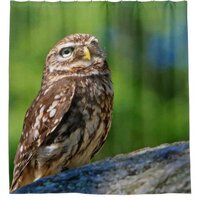Gorgeous Owl Print Shower Curtain