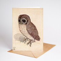 The Little Owl | Albrecht Dürer Card