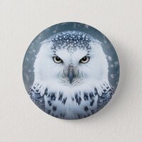Snowy Owl Ice Stare Button