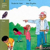 Oxford Reading Tree: Stage 7: Owls Storybooks: Lost Key (Oxford Reading Tree)