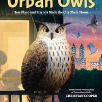 The Urban Owls: How Flaco and Friends Made the City Their Home