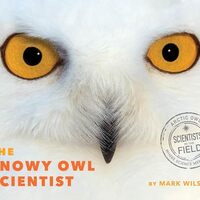 The Snowy Owl Scientist (Scientists in the Field)