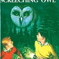 The Clue of the Screeching Owl (Hardy Boys, Book 41)
