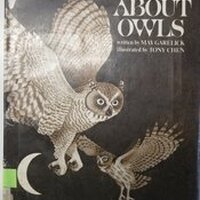 About Owls