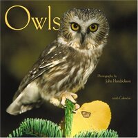 Owls 2006 Calendar