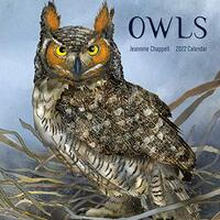 Owls: Jeannine Chappell 2022 Wall Calendar