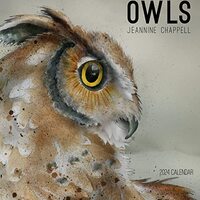 Owls: Jeannine Chappell 2024 Wall Calendar