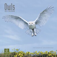 Owls 2010 Calendar