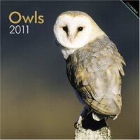 Owls 2011 Calendar