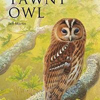 The Tawny Owl (Poyser Monographs)