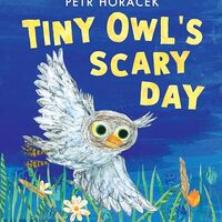 Tiny Owl's Scary Day