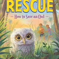 How to Save an Owl (Wildlife Rescue)