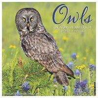 Owls 2019 Wall Calendar