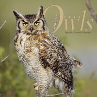 Owls 2003 Calendar