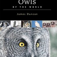 Owls of the World