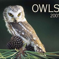 Owls 2001 Calendar