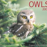 Owls 2002