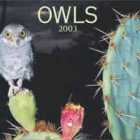 Owls Calendar 2003
