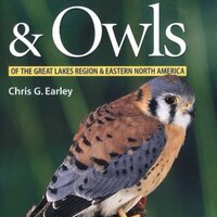 Hawks and Owls of the Great Lakes Region and Eastern North America