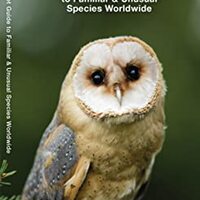 Owls: A Folding Pocket Guide to Familiar Species Worldwide (Waterford Discovery Guide)