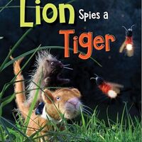 Lion Spies a Tiger (Bright Owl Books)