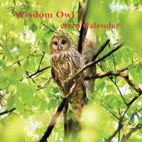 I Love Owl 2020 Calendar: Wisdom Owl 2020 Monthly Calendar