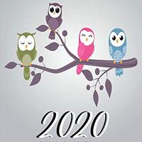 2020 Weekly & Monthly Planner: Appointment Organizer Diary for People Who Loves Owls – Fou